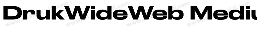 DrukWideWeb MediumIt字体转换
